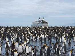 pon-expedition
